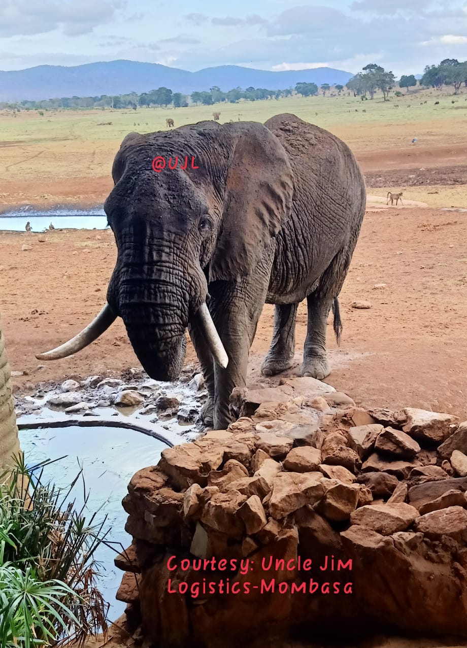 Tsavo National Park tour Uncle Jim Logistics